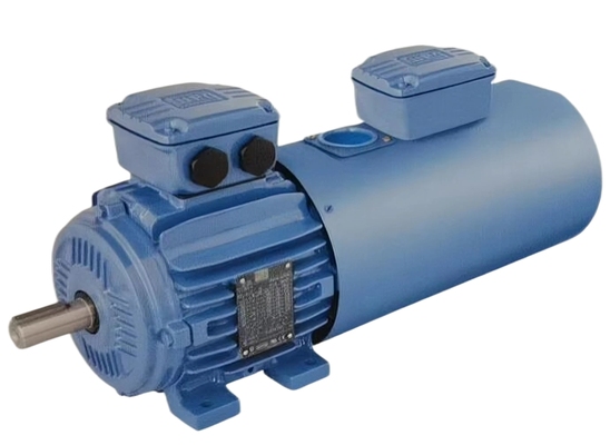 IECEx W21 Series Ultra High Efficiency IE4 Motor Energy Saving Long Lifespan